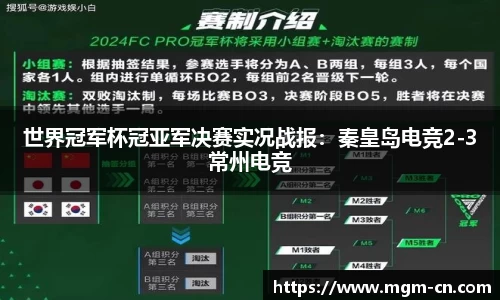 世界冠军杯冠亚军决赛实况战报：秦皇岛电竞2-3常州电竞
